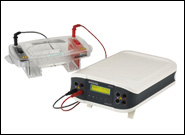 Electrophoresis System