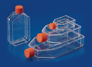 Cell Culture Flask