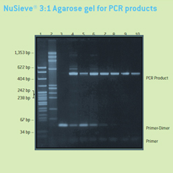 Agarose